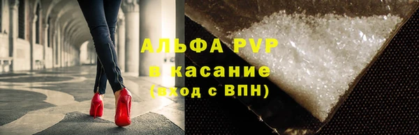 стафф Елизово