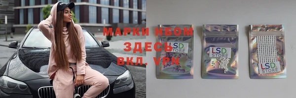 стафф Елизово