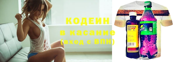 стафф Елизово