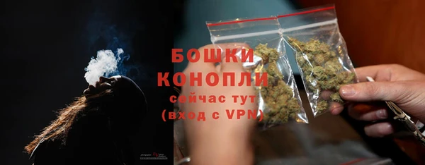 прущие грибы Дмитровск
