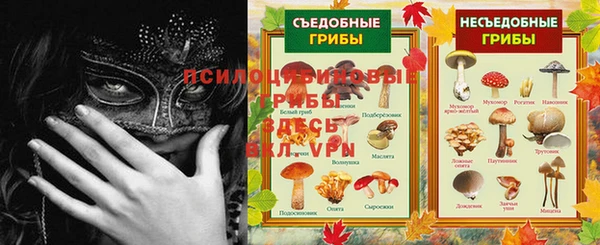 стафф Елизово