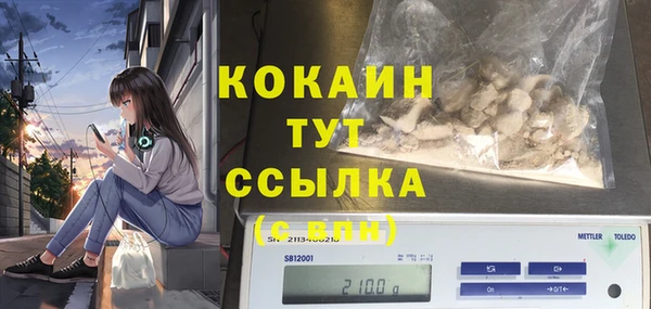 стафф Елизово