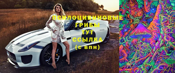мяу мяу кристалл Ельня